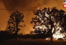 Fuegos Apocalípticos en California: Más de 80,000 Evacuados en una Lucha Épica Contra las Llamas