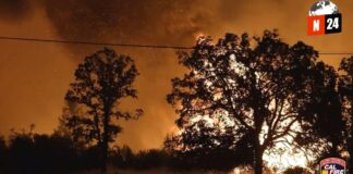 Fuegos Apocalípticos en California: Más de 80,000 Evacuados en una Lucha Épica Contra las Llamas