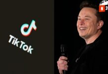 ¡Exclusiva! TikTok enfrenta una encrucijada: ¿Venderá su rama estadounidense a Elon Musk?