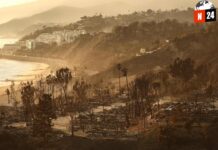 Cuando el Fuego Consume: El Devastador Impacto Económico de los Incendios de Los Ángeles