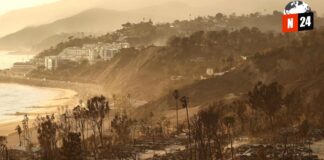 Cuando el Fuego Consume: El Devastador Impacto Económico de los Incendios de Los Ángeles