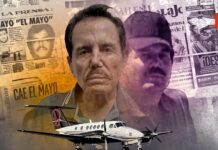 ¡Traición, Secuestro y Caos! La Caída del Legendario Capo del Cártel de Sinaloa