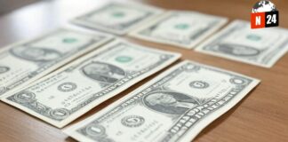 ¡Dólar en Máximos: Cómo Proteger Tus Finanzas en Tiempos Turbulentos!