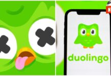 ¡Duo, el Búho de Duolingo, Vuela al Más Allá! ¿Qué Significa esto para los Usuarios?