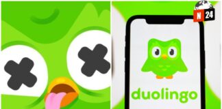 ¡Duo, el Búho de Duolingo, Vuela al Más Allá! ¿Qué Significa esto para los Usuarios?