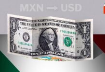 ¡Montaña Rusa del Peso Mexicano: Descubre los Altibajos de la Paridad Peso-Dólar!