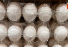 ¡Huevos a Precio de Oro! La Inflación Récord Que Sacude a Estados Unidos
