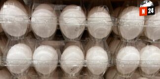 ¡Huevos a Precio de Oro! La Inflación Récord Que Sacude a Estados Unidos