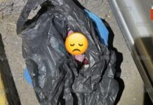 Madre Acusada de Complicidad en Abandono de Bebé: ¿Enfrentará Graves Consecuencias?