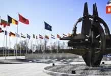 ¿Quién controla las negociaciones de paz en Ucrania? La OTAN se divide mientras Trump y Putin acuerdan un plan a espaldas de Europa