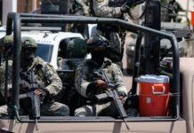 ¡Capturan al Cerebro Financiero de Los Chapitos! Detalles Impactantes de la Operación