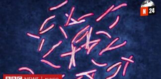 ¡Descubre cómo la IA resolvió en 48 horas un enigma médico que tomó a los científicos una década!