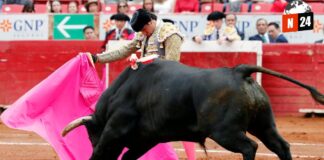 ¡Adiós a la crueldad! Ciudad de México propone corridas de toros sin sangre