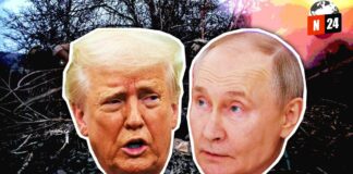 ¿Tregua en Ucrania? Putin y Trump se unen en una llamada histórica