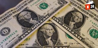 ¡Dólar en Movimiento: Sube y Baja, ¿Cómo Afecta tu Bolsillo?