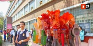 Escuelas mexicanas dan un giro radical: adiós a la comida chatarra en los recreos