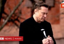 El desplome de Tesla: cómo la tormenta política de Musk ahoga las ventas del gigante eléctrico