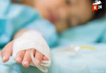 Alerta en México: Confirman primer caso humano de gripe aviar H5N1 en niña de 3 años