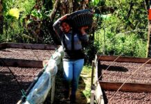 México esquiva la recesión: ¿Milagro económico o calma antes de la tormenta?