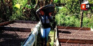 México esquiva la recesión: ¿Milagro económico o calma antes de la tormenta?