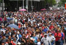 CDMX al borde del caos: CNTE paraliza Reforma con megaplantón este 29 de mayo