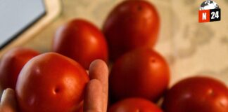 EE.UU. impone arancel del 17% a tomates mexicanos: ¿Cómo afectará tu bolsillo?