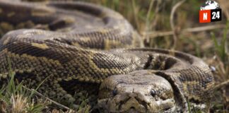 Madre rusa y sus hijas vivieron 8 años en una cueva de la India: “Las serpientes son nuestras amigas”