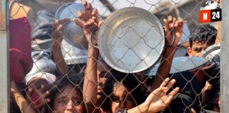 Gaza al borde del abismo: 111 ONG alertan sobre hambruna masiva y trabajadores humanitarios en peligro