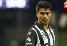 Del astro al escándalo: la confesión que sacude el fútbol australiano