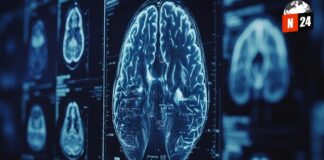 Fármaco para presión arterial revela poder contra tumores cerebrales