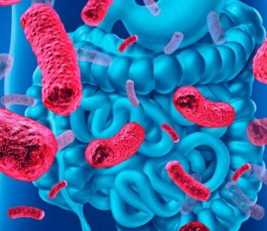 Tu intestino podría estar programando tu cerebro: el sorprendente vínculo microbiano